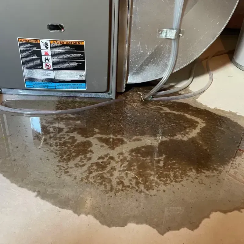 Appliance Leak Cleanup in Cresskill, NJ